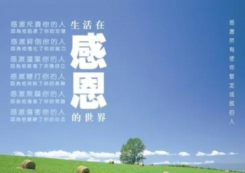 ���������`�С��ж���֪؟���ɼ����О顱�ˆ���