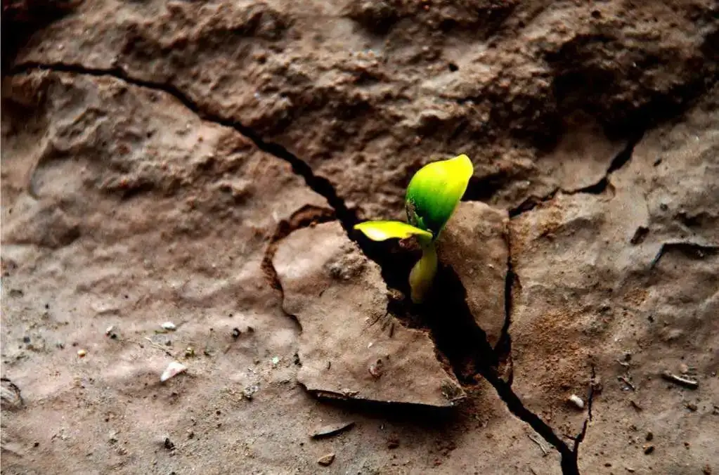 �ơ��O���ɡ�����