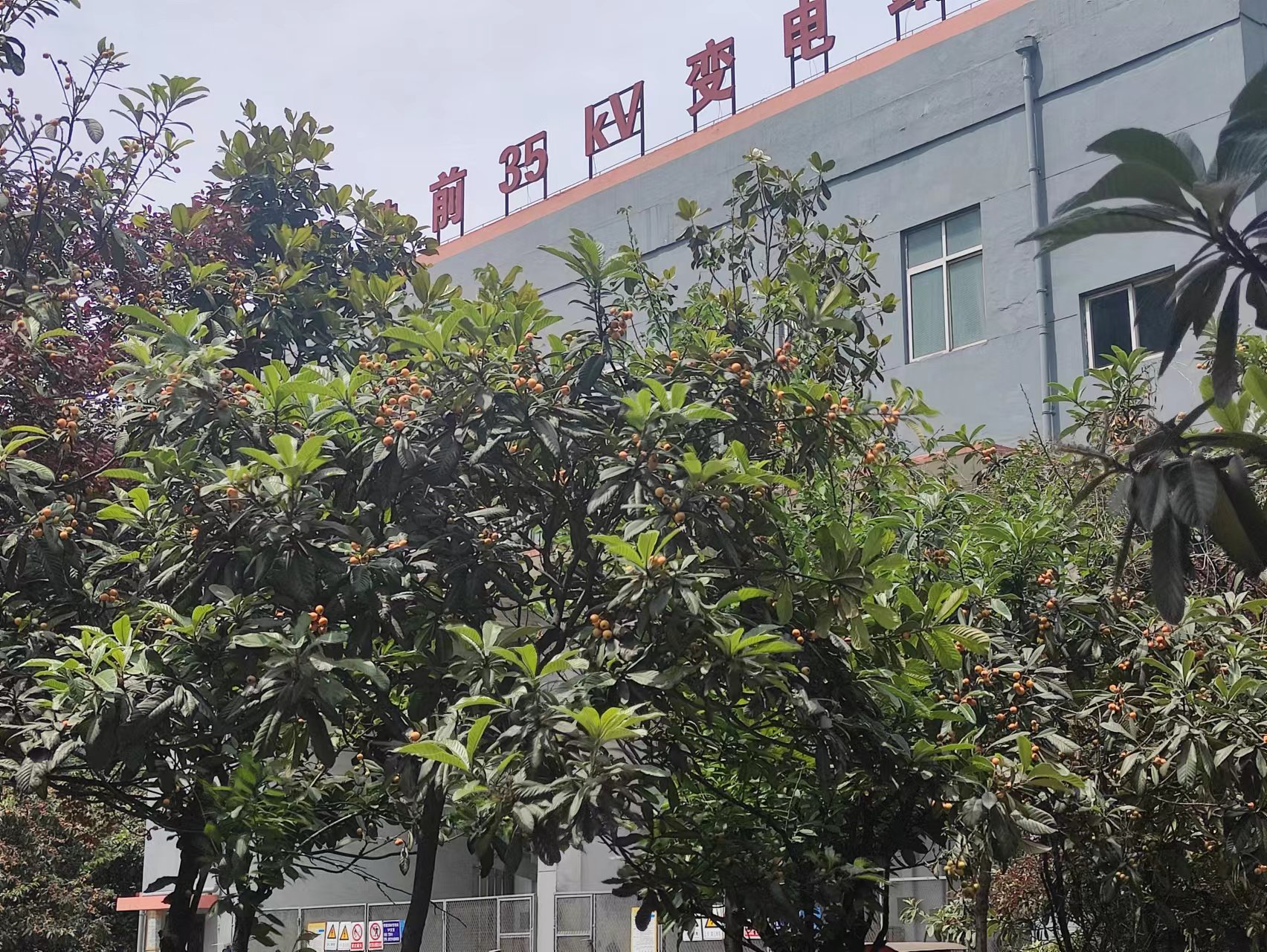 䓳�����������