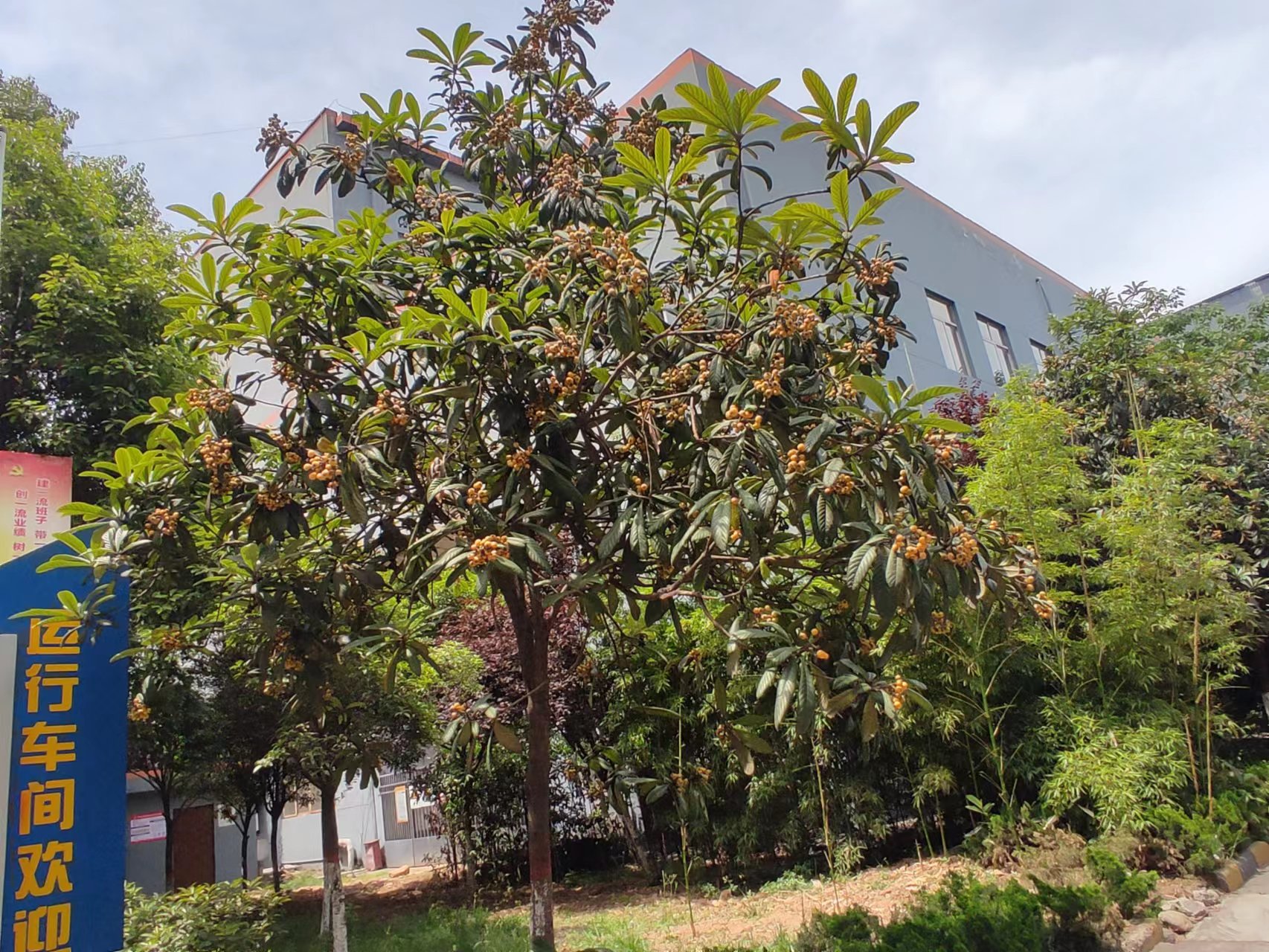 䓳�����������