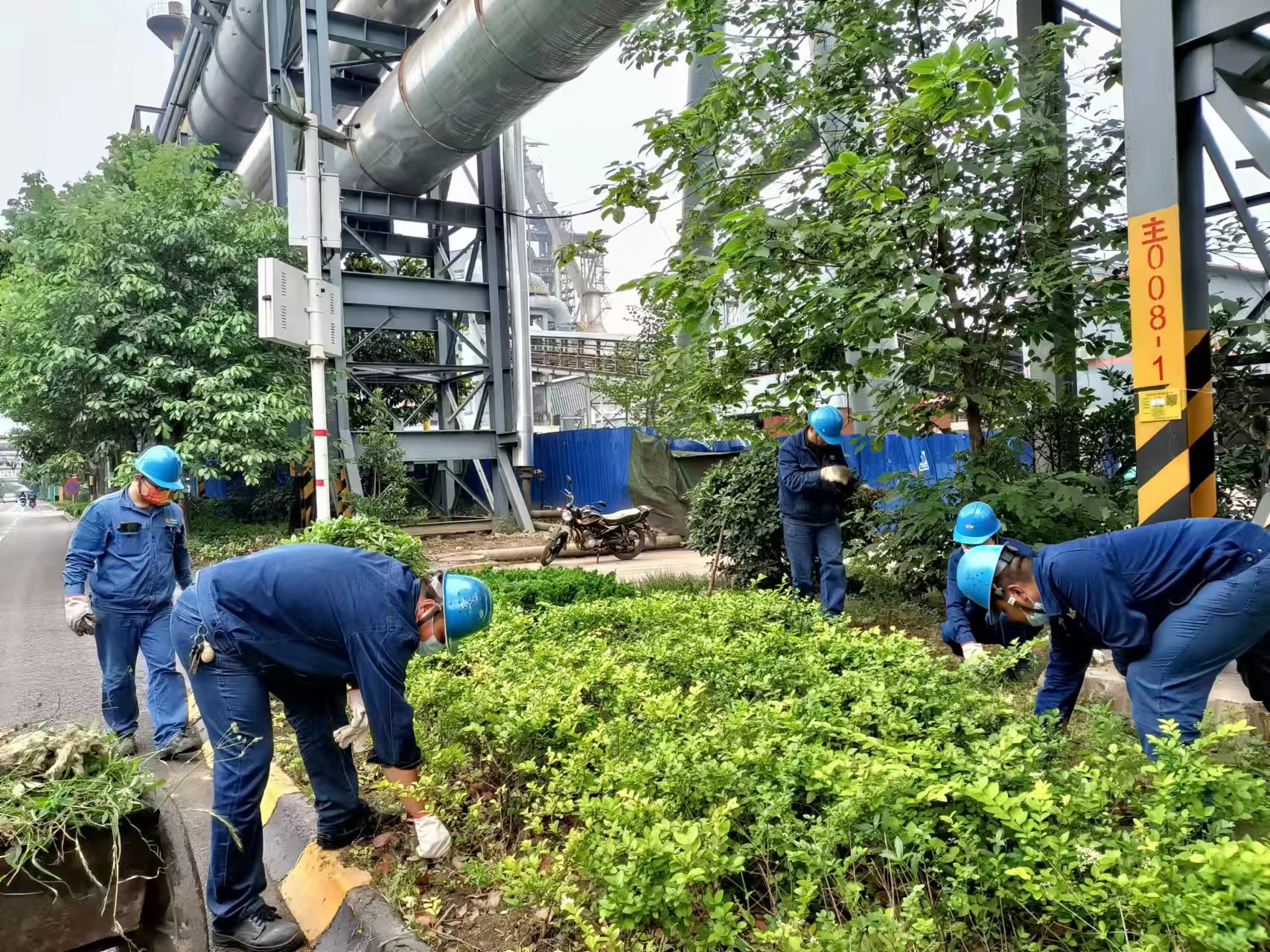 ��ͨ�Gɫ���} ���������h�