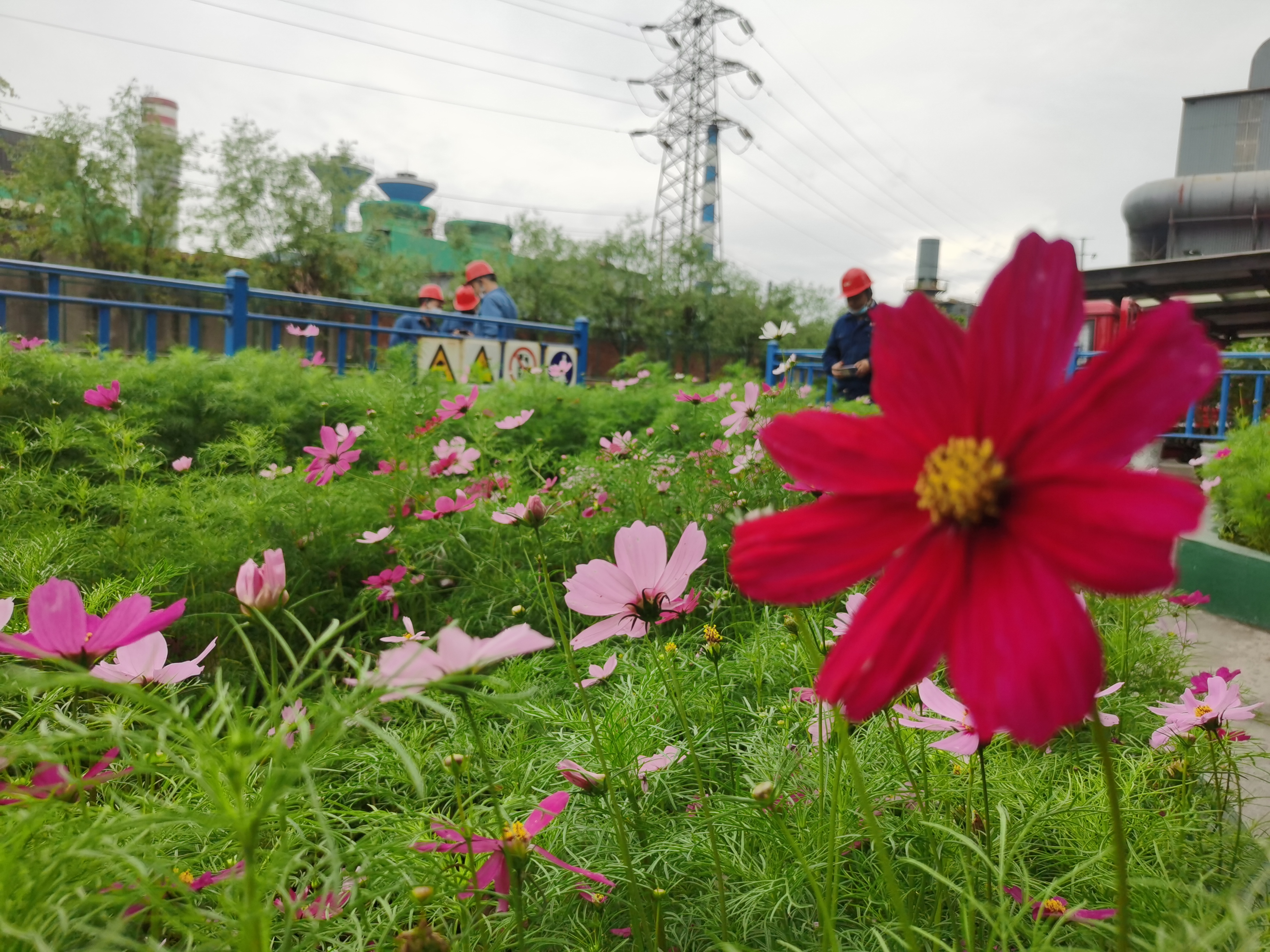 ��ͨ�Gɫ���} ���������h�