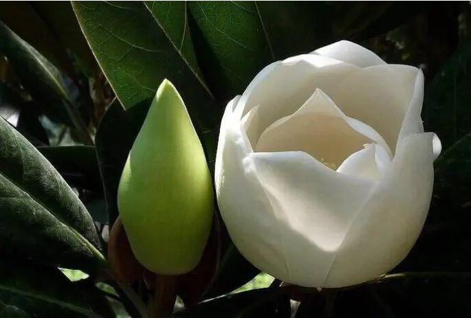 ���m���_�`���A