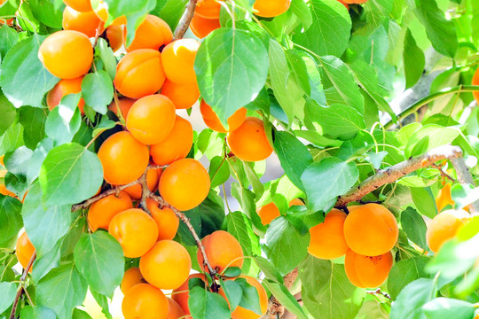 ���ӡ������㣬Ψ���㡱����