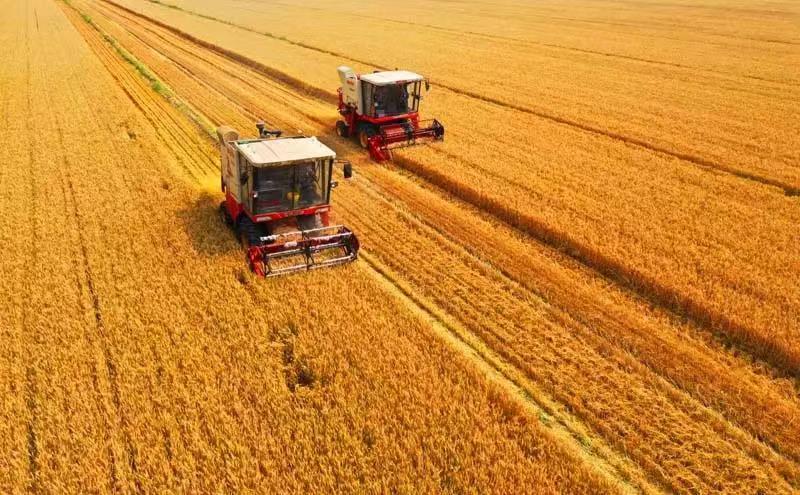 ����ӛ��