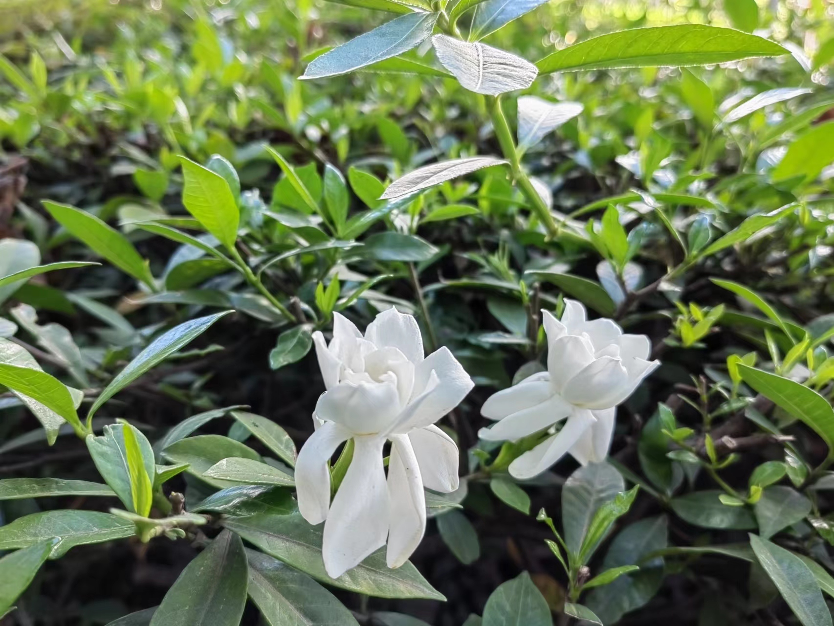 �d�ӻ��_�����ӝM�@