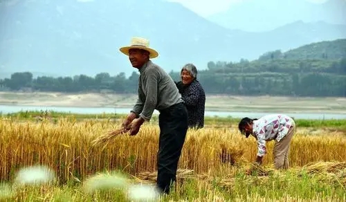 ����һ��������