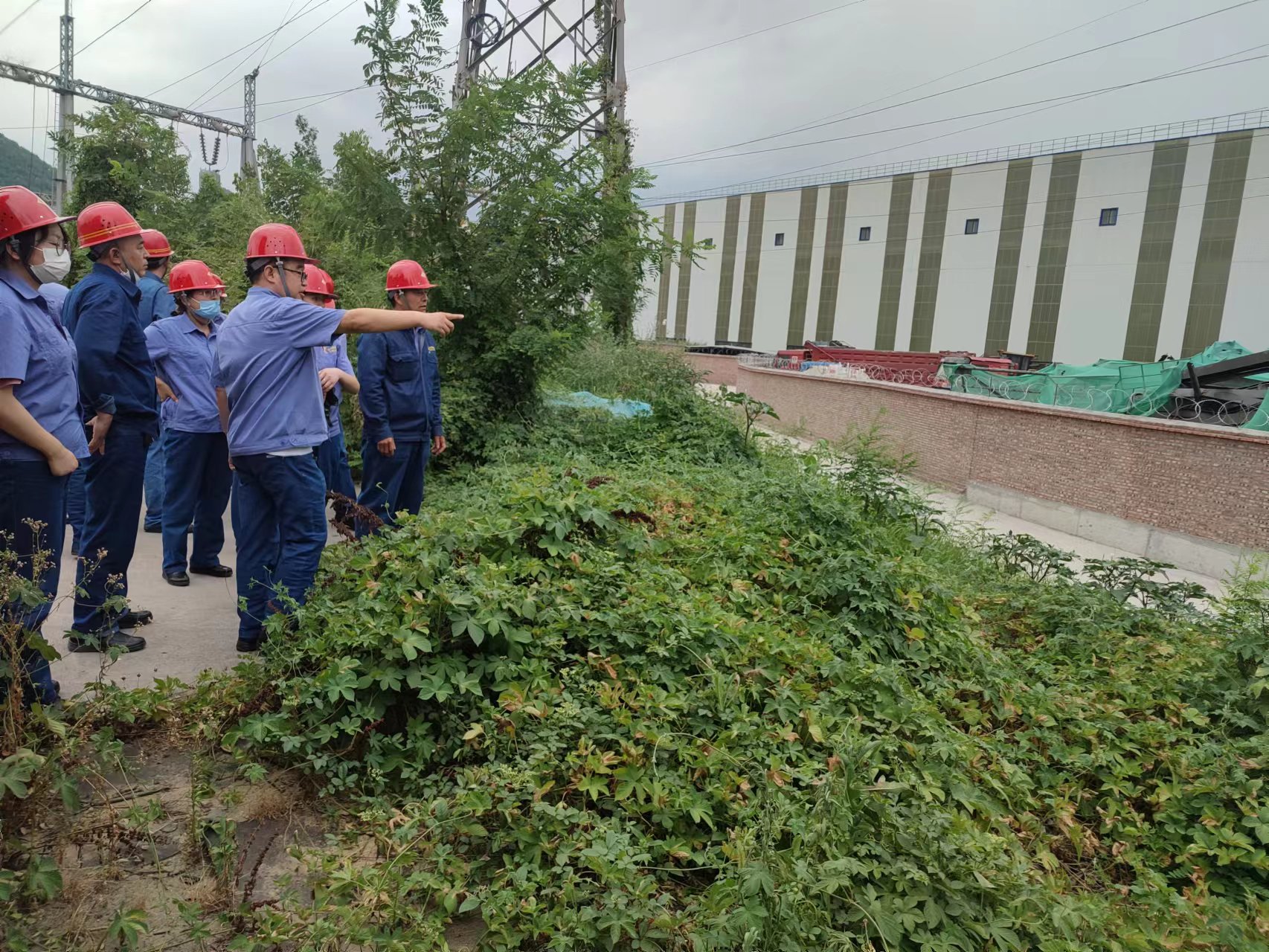 �h�T�ɲ��R�l�� ���α��ϡ����վW��