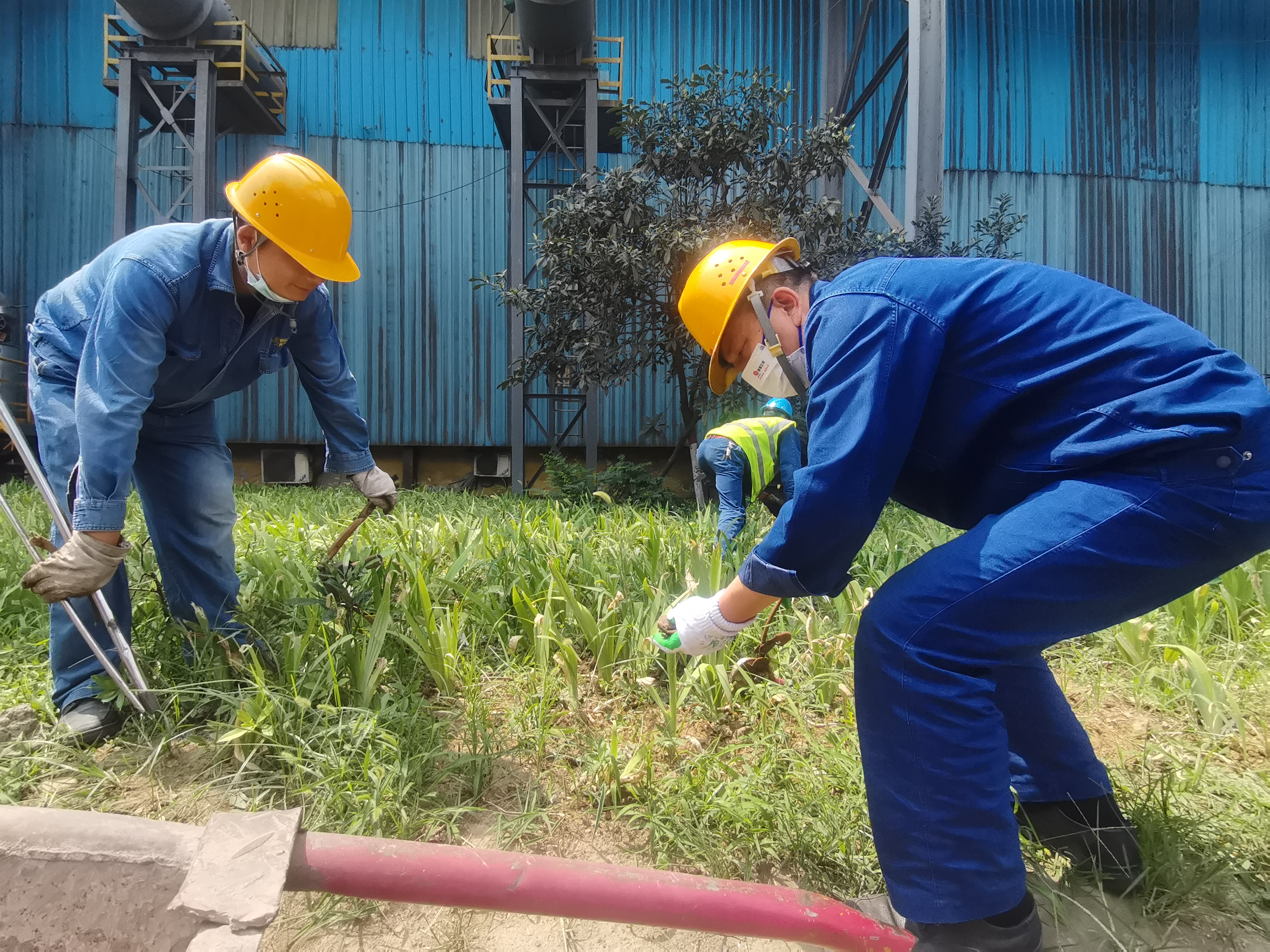 ������֧���������ڝ���Ч�����h ������䓏S�Fί�_չ��������Ч���������С����}���h���