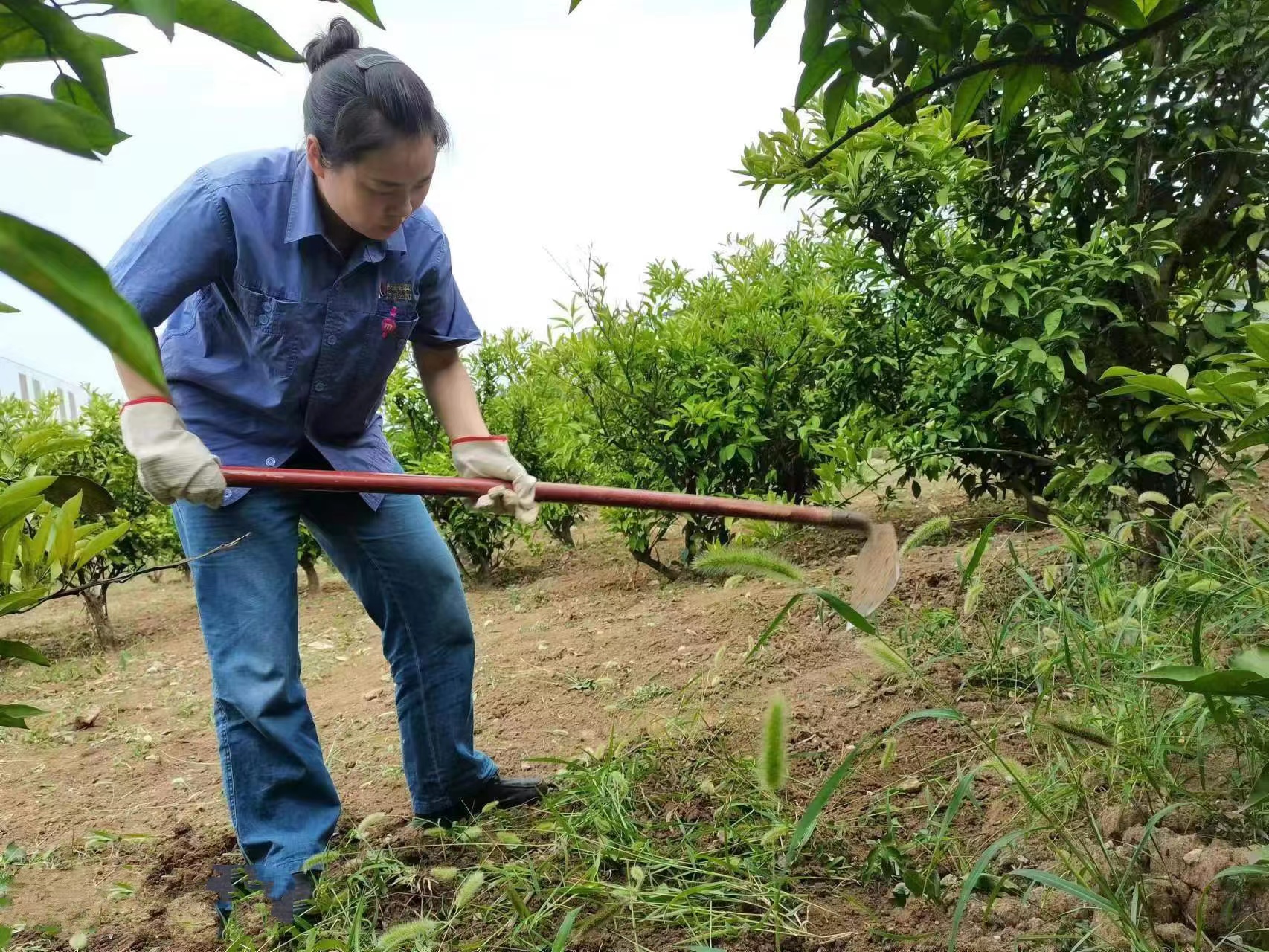“鋼花”朵朵悄然開 初心不改筑鋼城 “鋼花”朵朵悄然開 初心不改筑鋼城