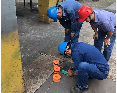 ��ɿ�� ��ֲ�y(c��)������������(y��u)��(sh��)