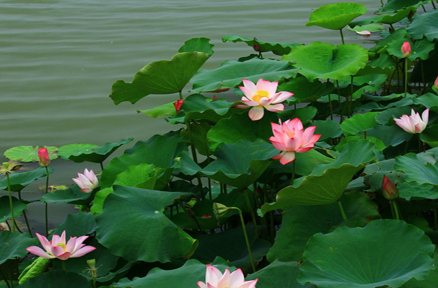 �򡱺ɡ�����