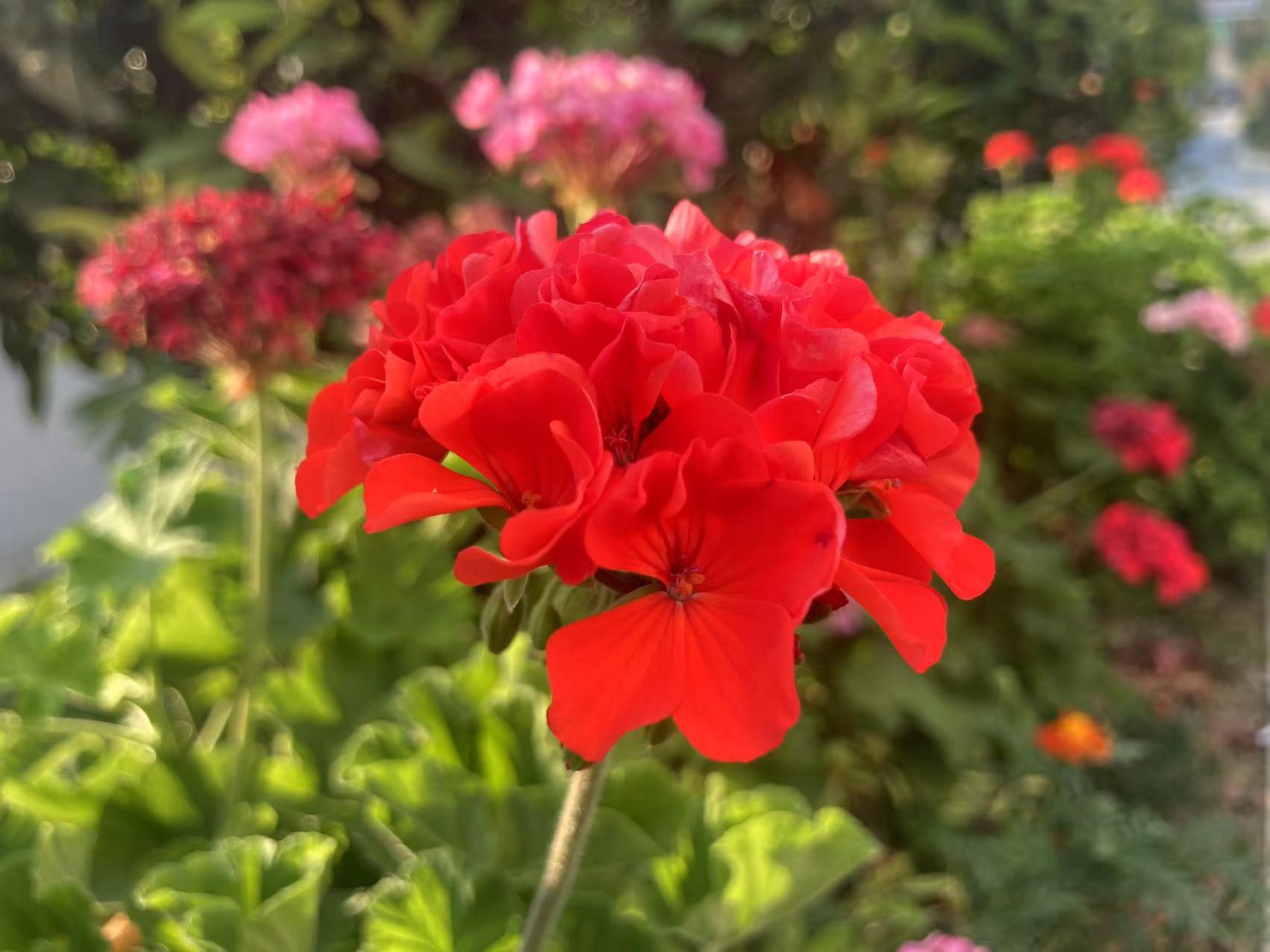 ·߅�����ÿ�