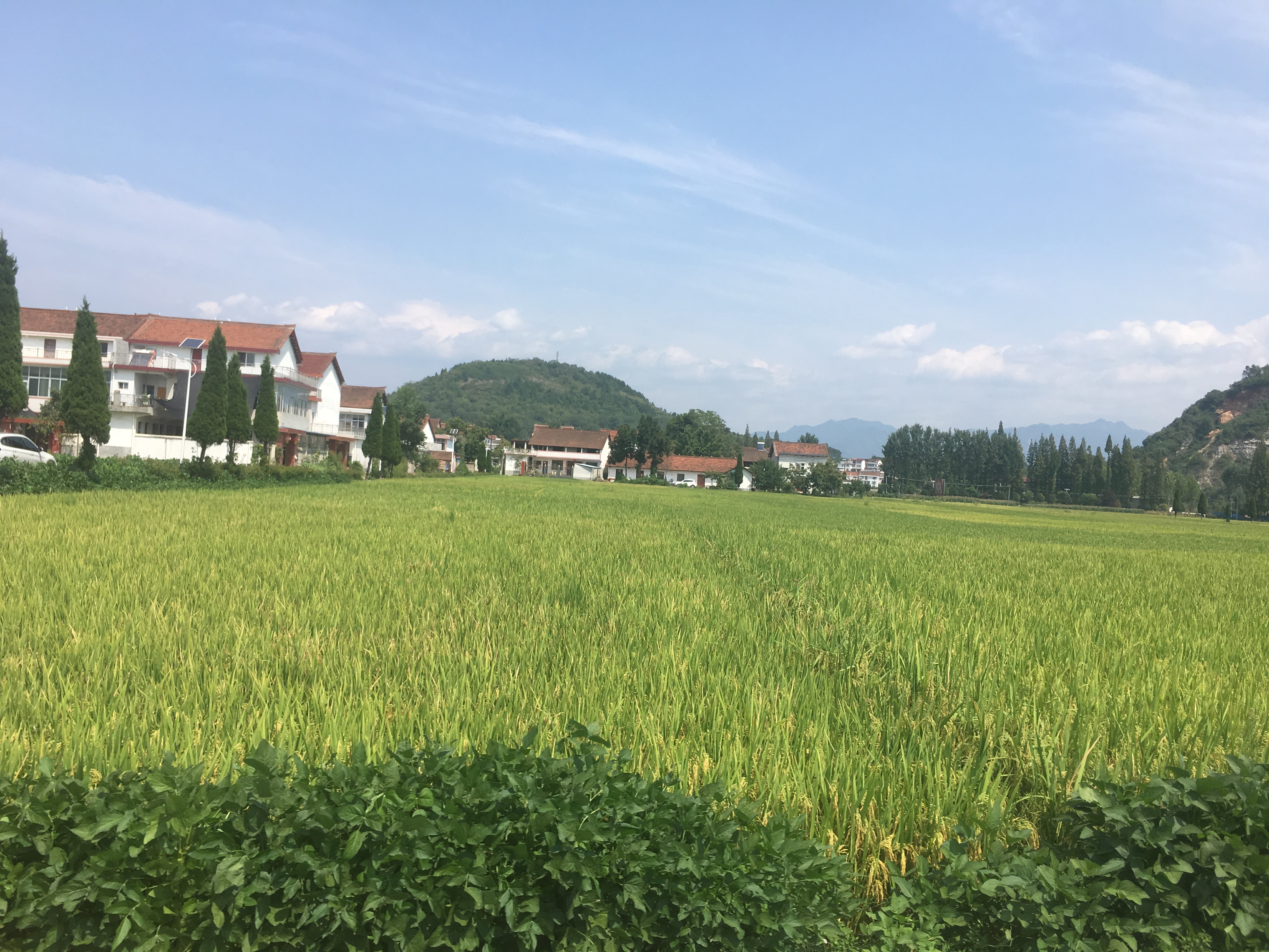 �������f