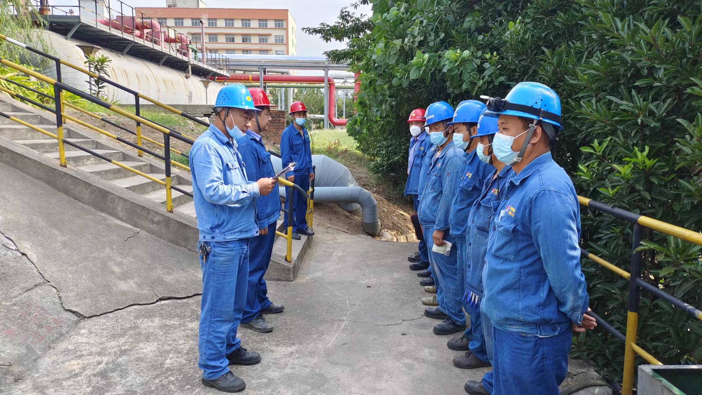 �����С�����������M���ǡ��Ɖ�