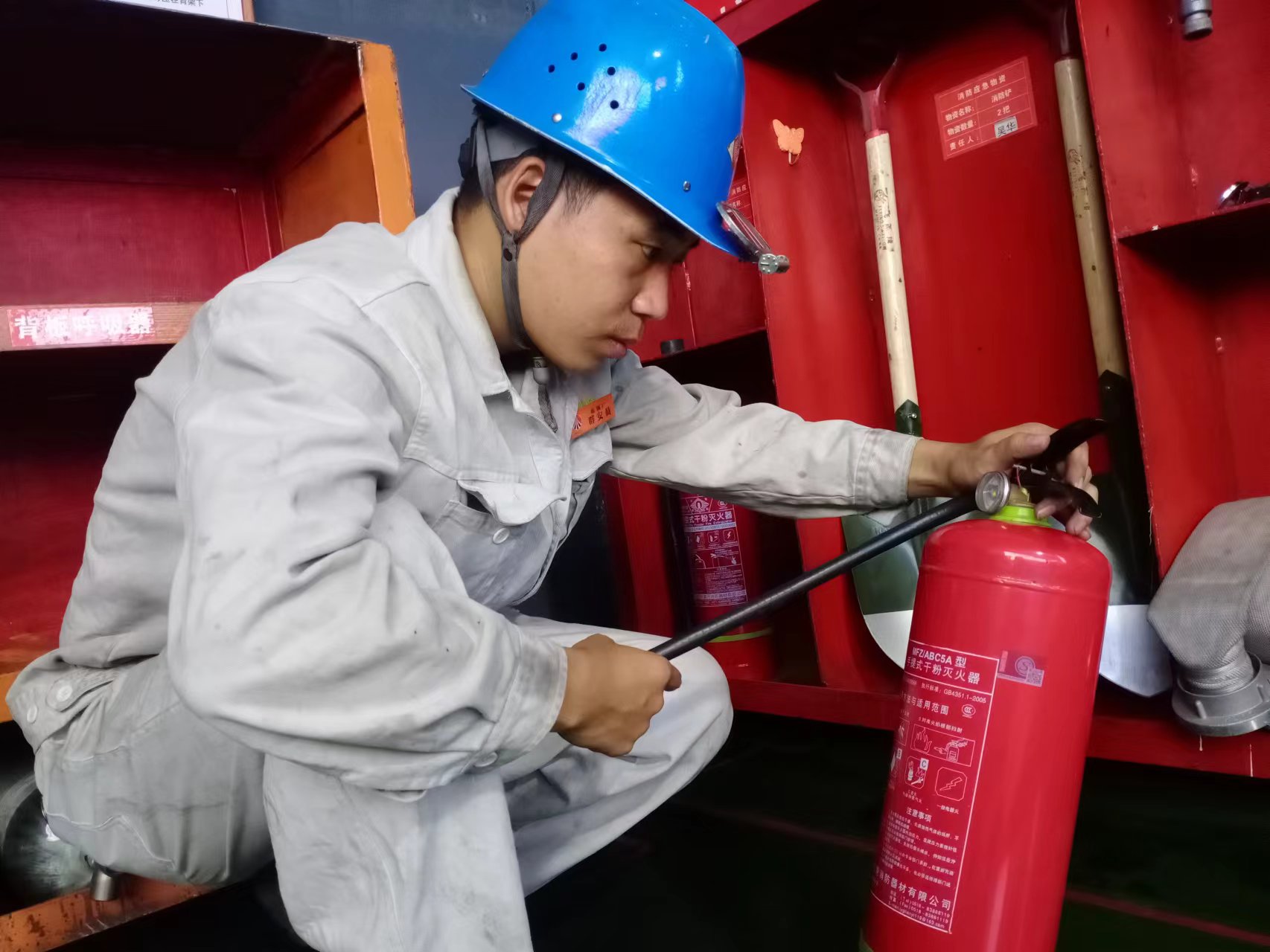 �������ڍ��������������£�̎̎�ǈF�A