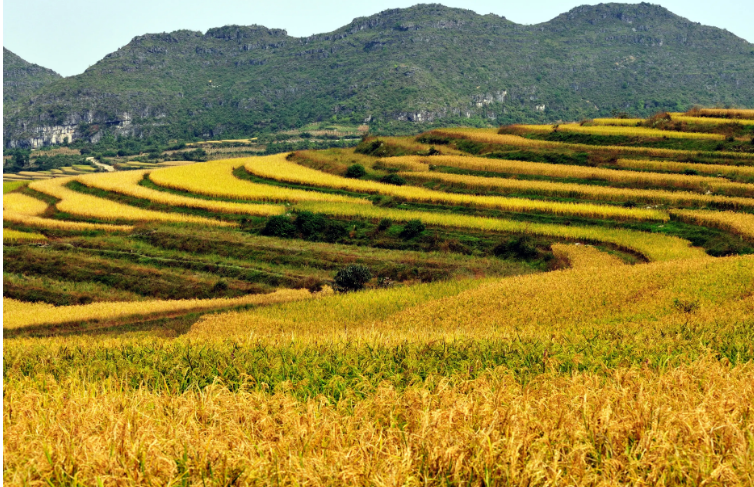 ���µ�����