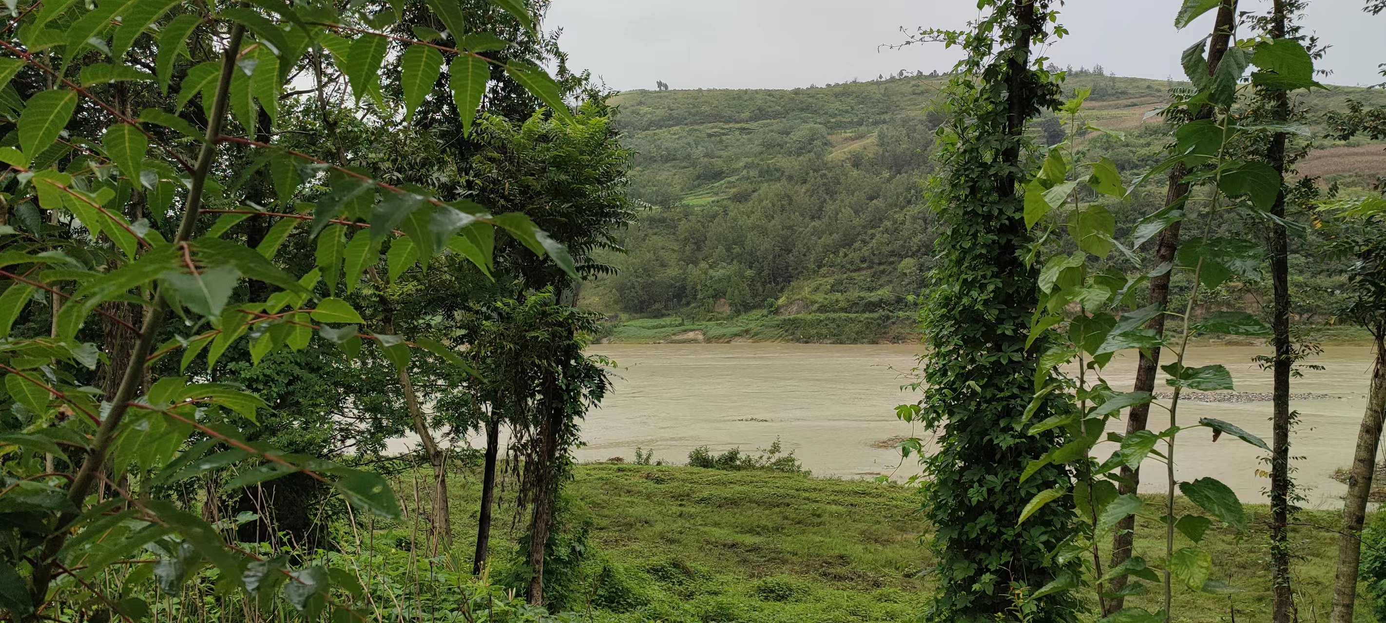 那年,那雨 那年,那雨
