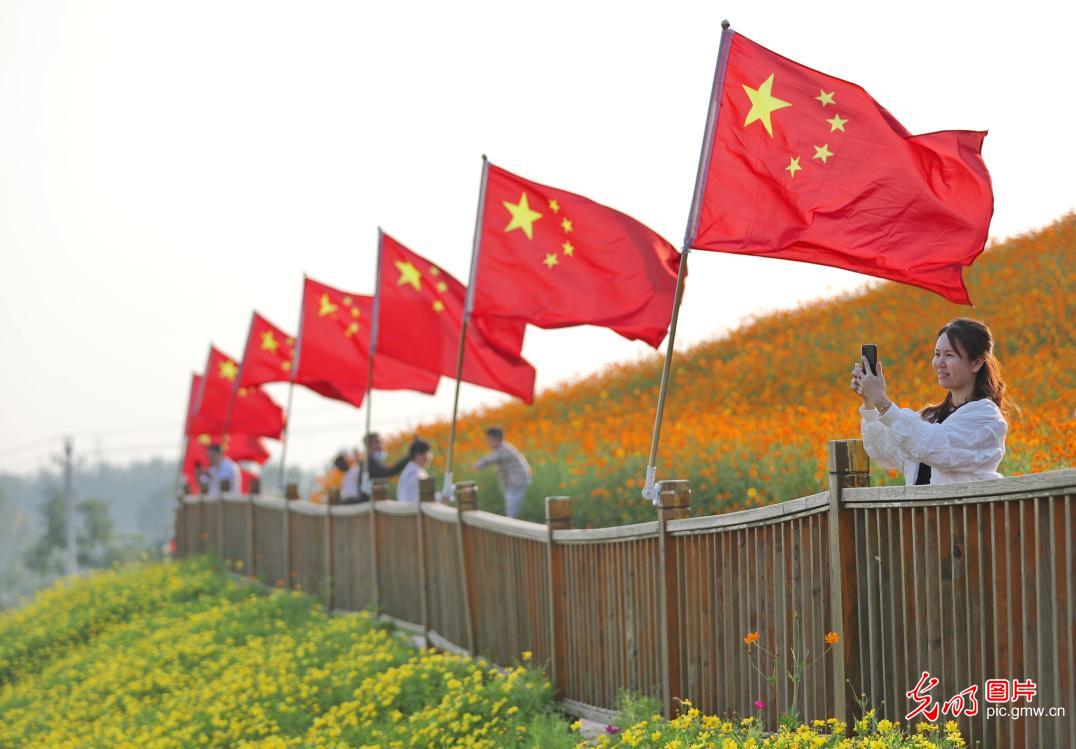 ɽ�����Ҋ�C��ꎵĄ���