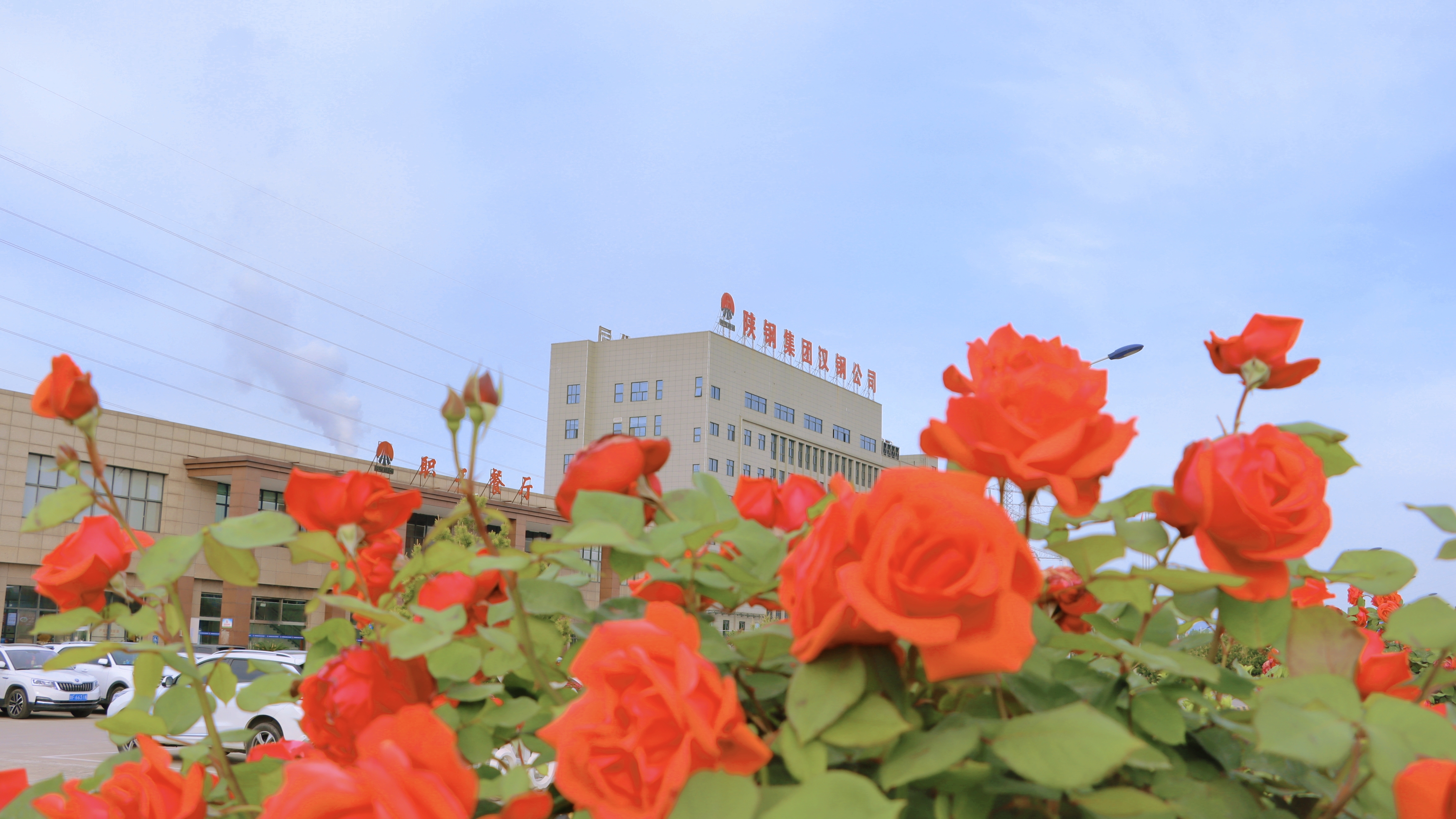 ӭ���ֻ���ƴ�