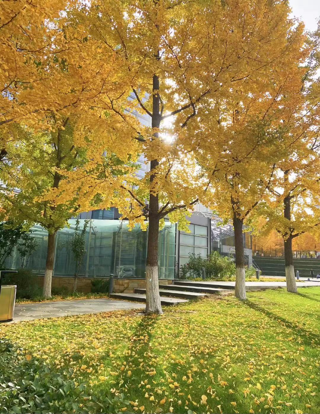 ӭ���ֻ���ƴ�