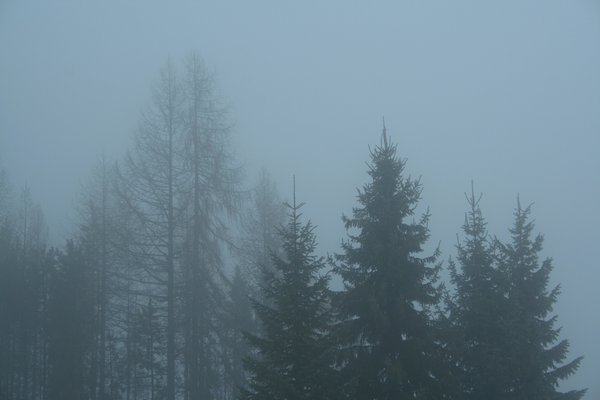 ��ʎɽ��������Z(y��)