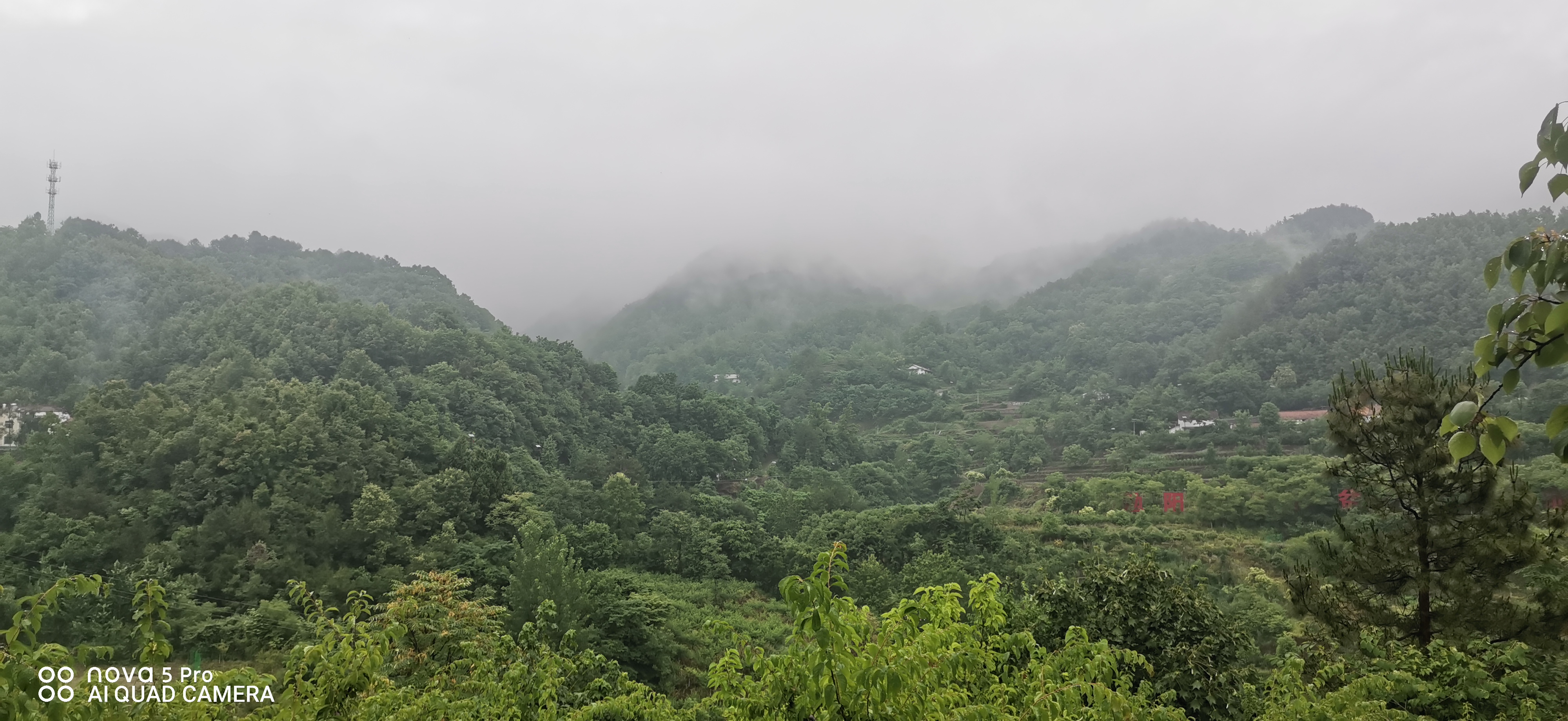 ��ʎɽ��������Z(y��)