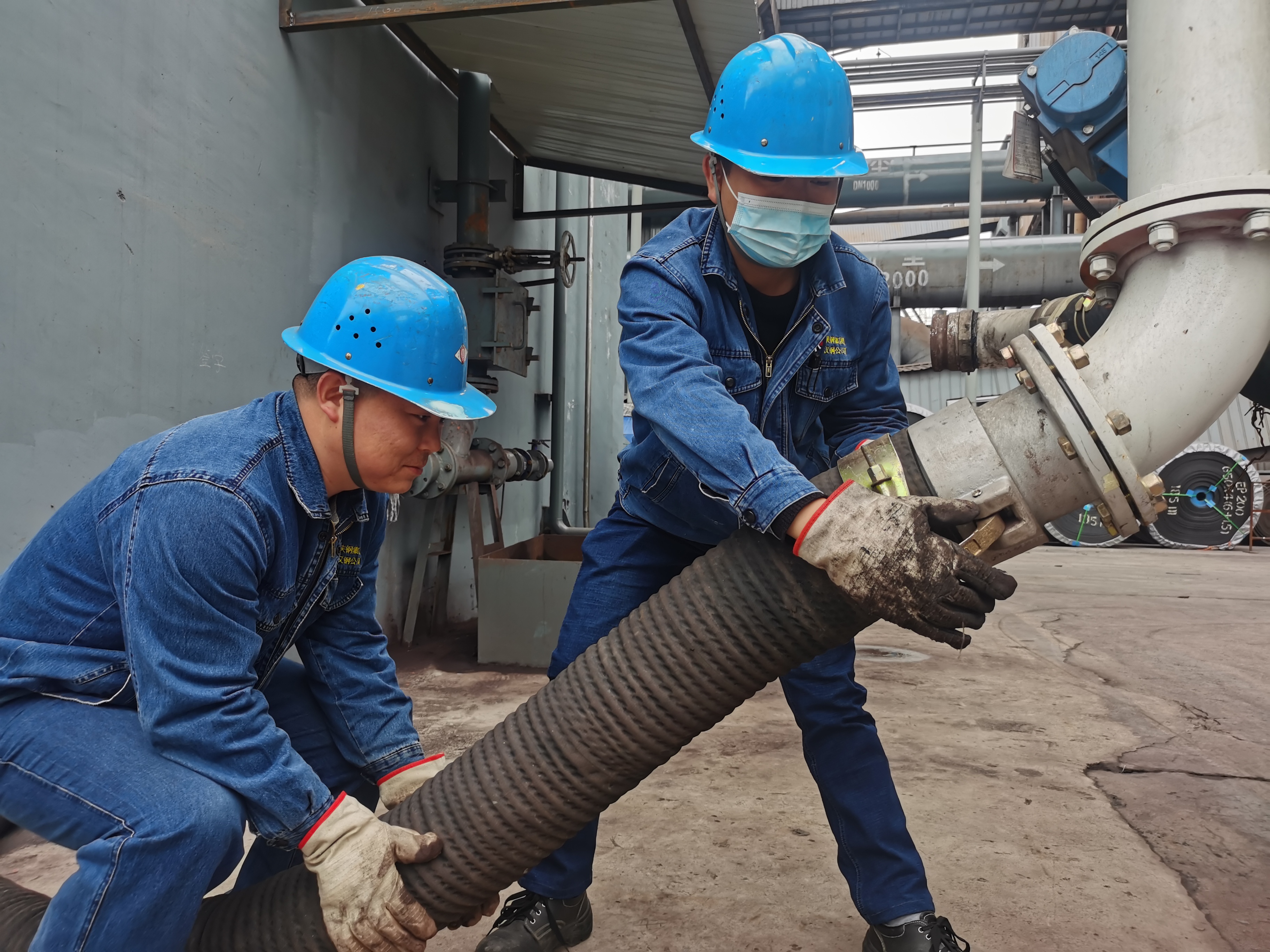 �������ײ͡����M���O������ѹǡ�