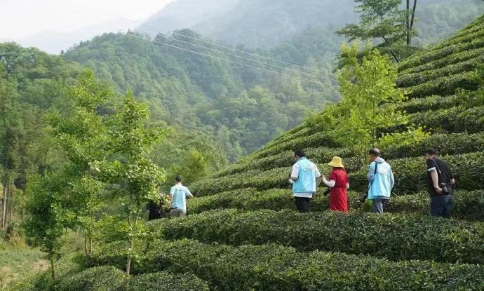 ���Ƕ�܊��ü��