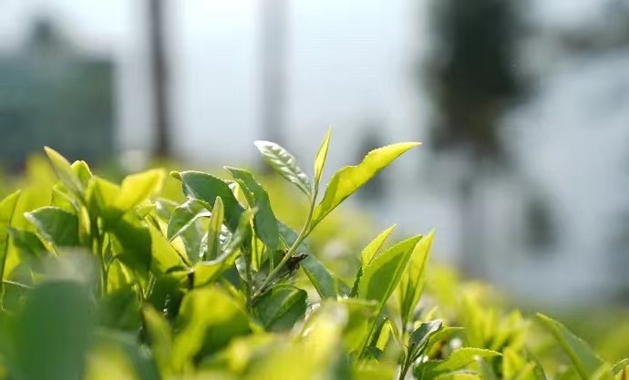 ���Ƕ�܊��ü��