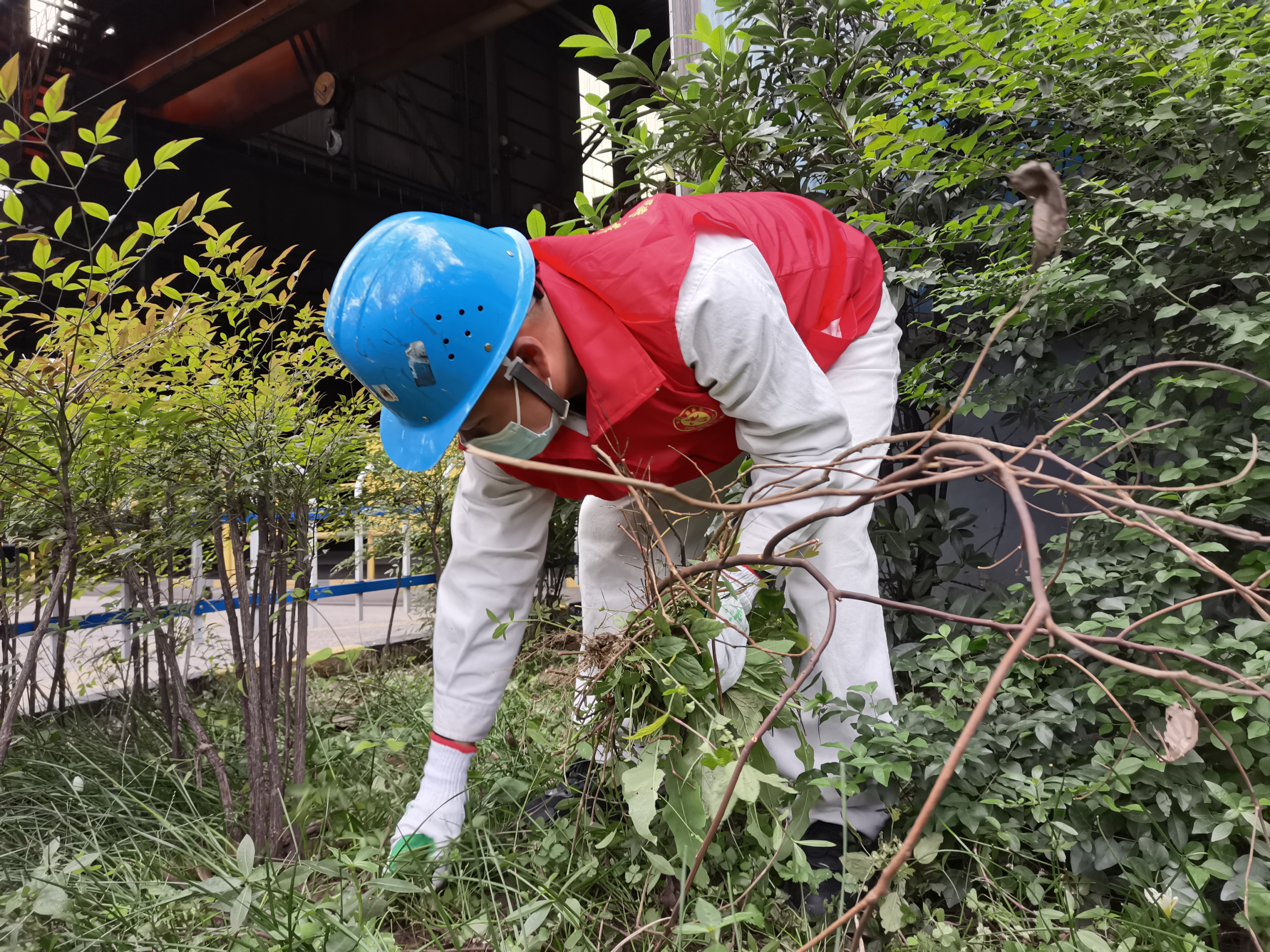 �෽�l�� ���þGɫ�lչ�®���