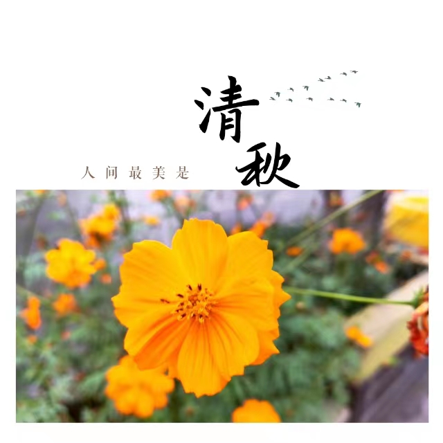 ���۽��Ǯ�����ʮ��䓳ǡ����ӡ�����