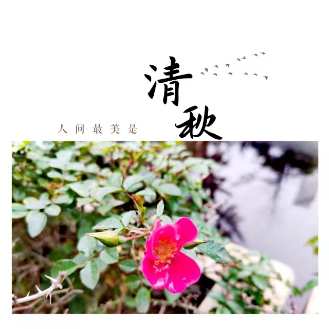 ���۽��Ǯ�����ʮ��䓳ǡ����ӡ�����