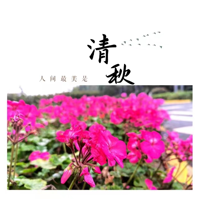 ���۽��Ǯ�����ʮ��䓳ǡ����ӡ�����