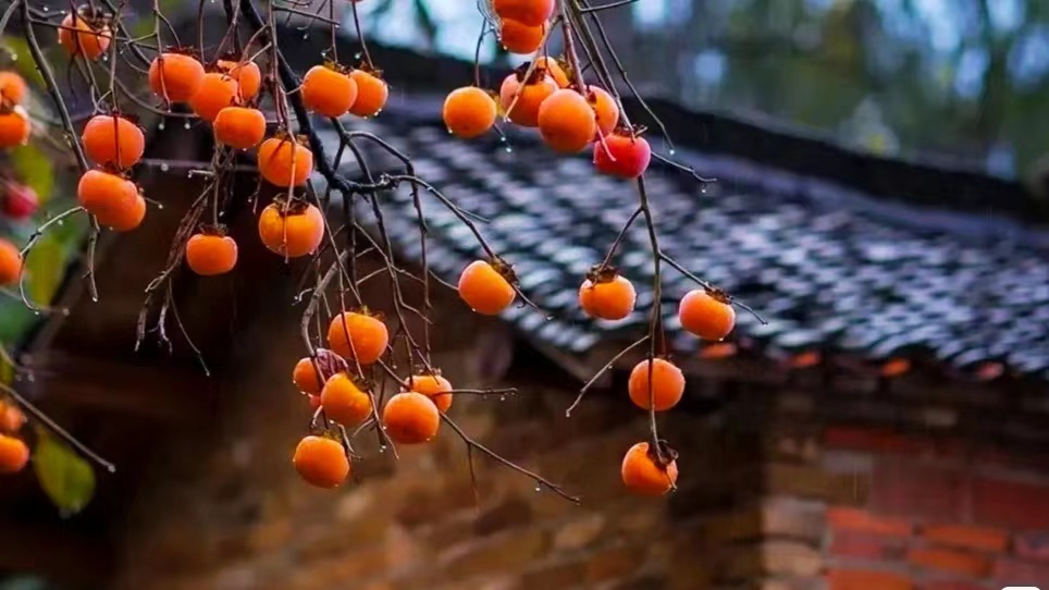 �ַ�����r