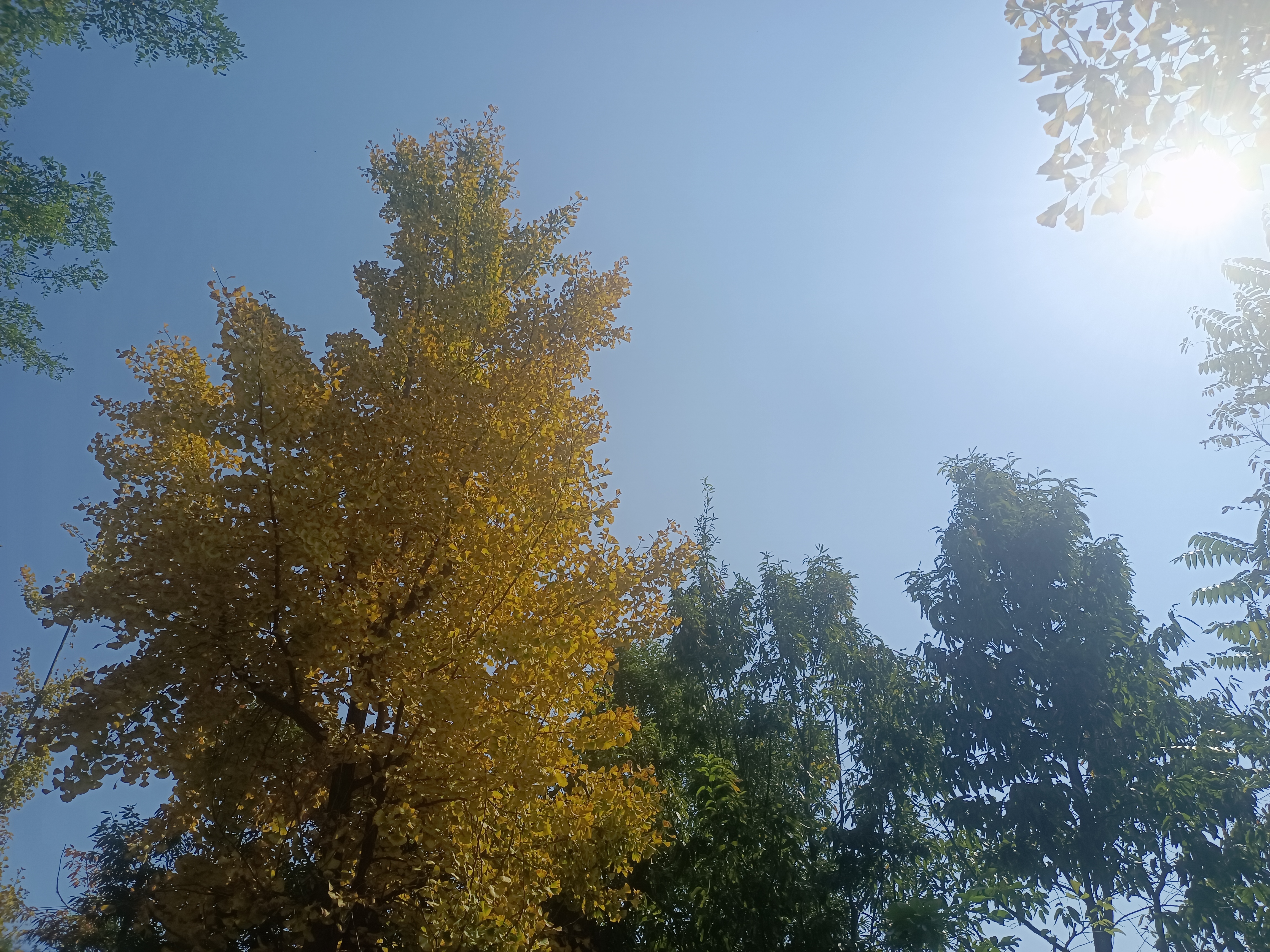 ��ȥ������һ�d