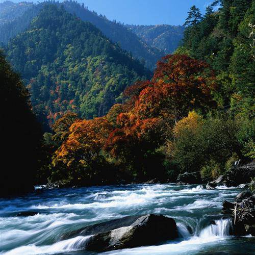 ɽ�е�·  ɽ�еĺ�