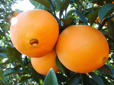 ��ϲ�M��Ě����