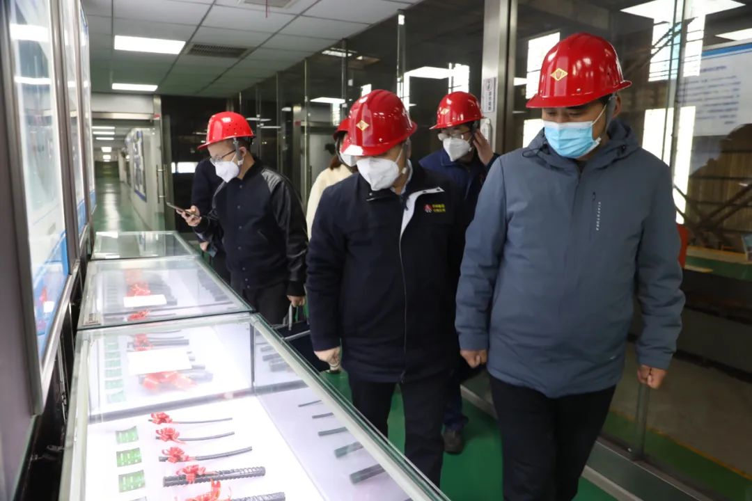 ʡŏdҽM˾zָIOӋĽOr