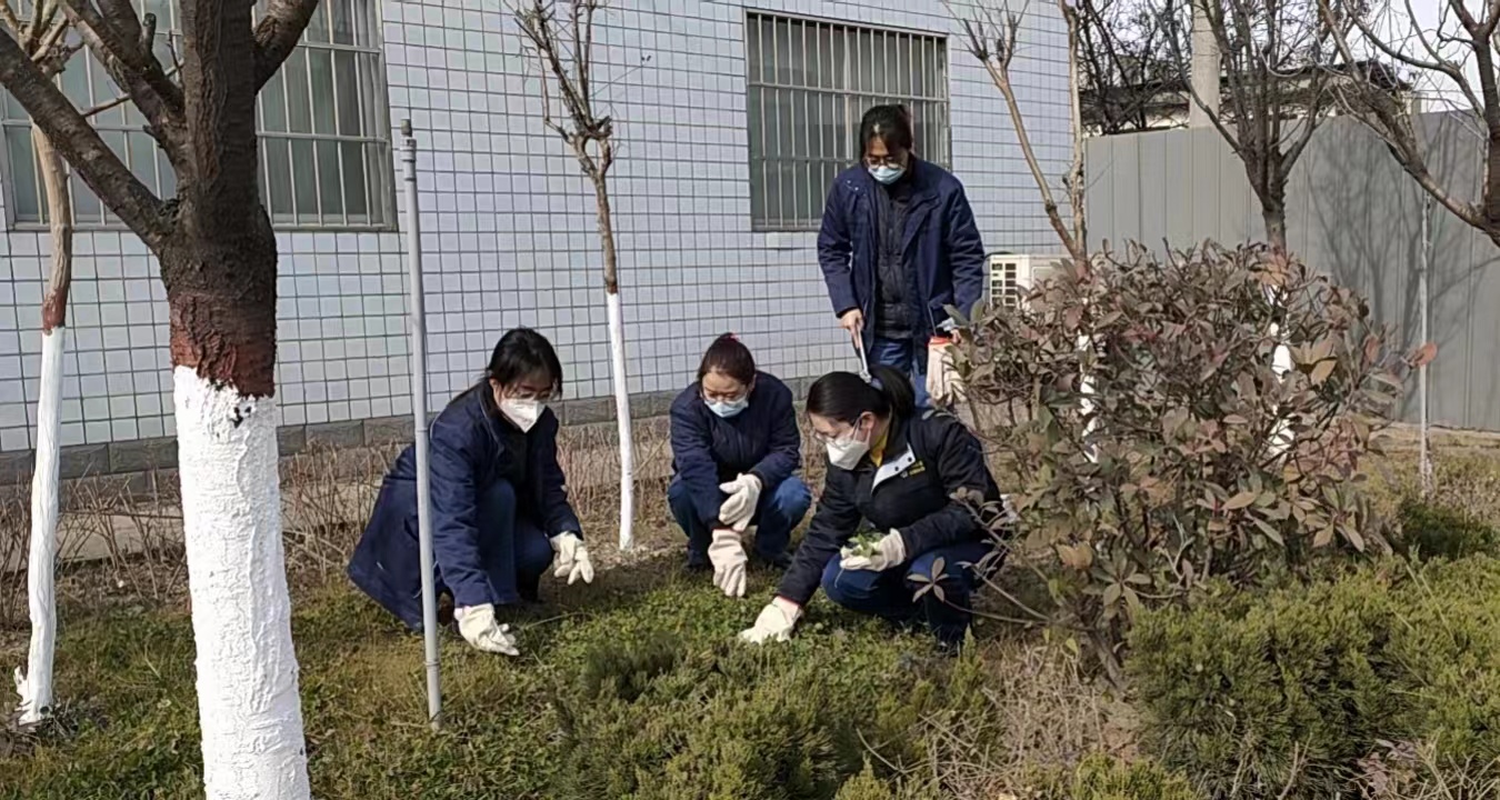 ���n䓳ǡ��ֵ������������ʮ��