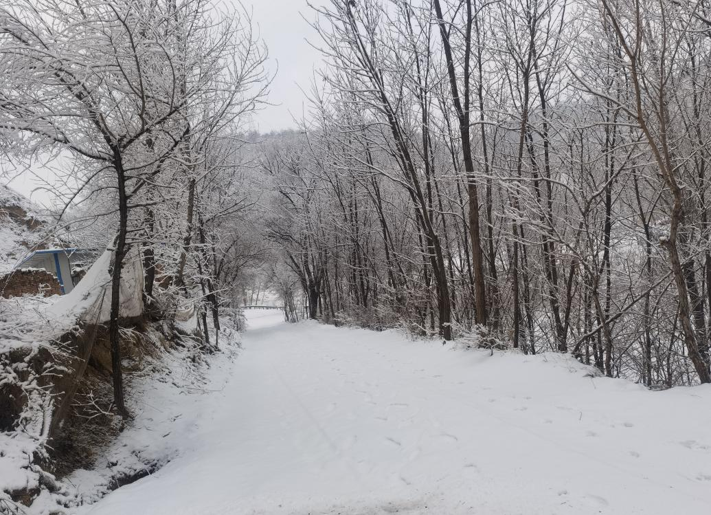 ���ҁ�˼����ѩ����