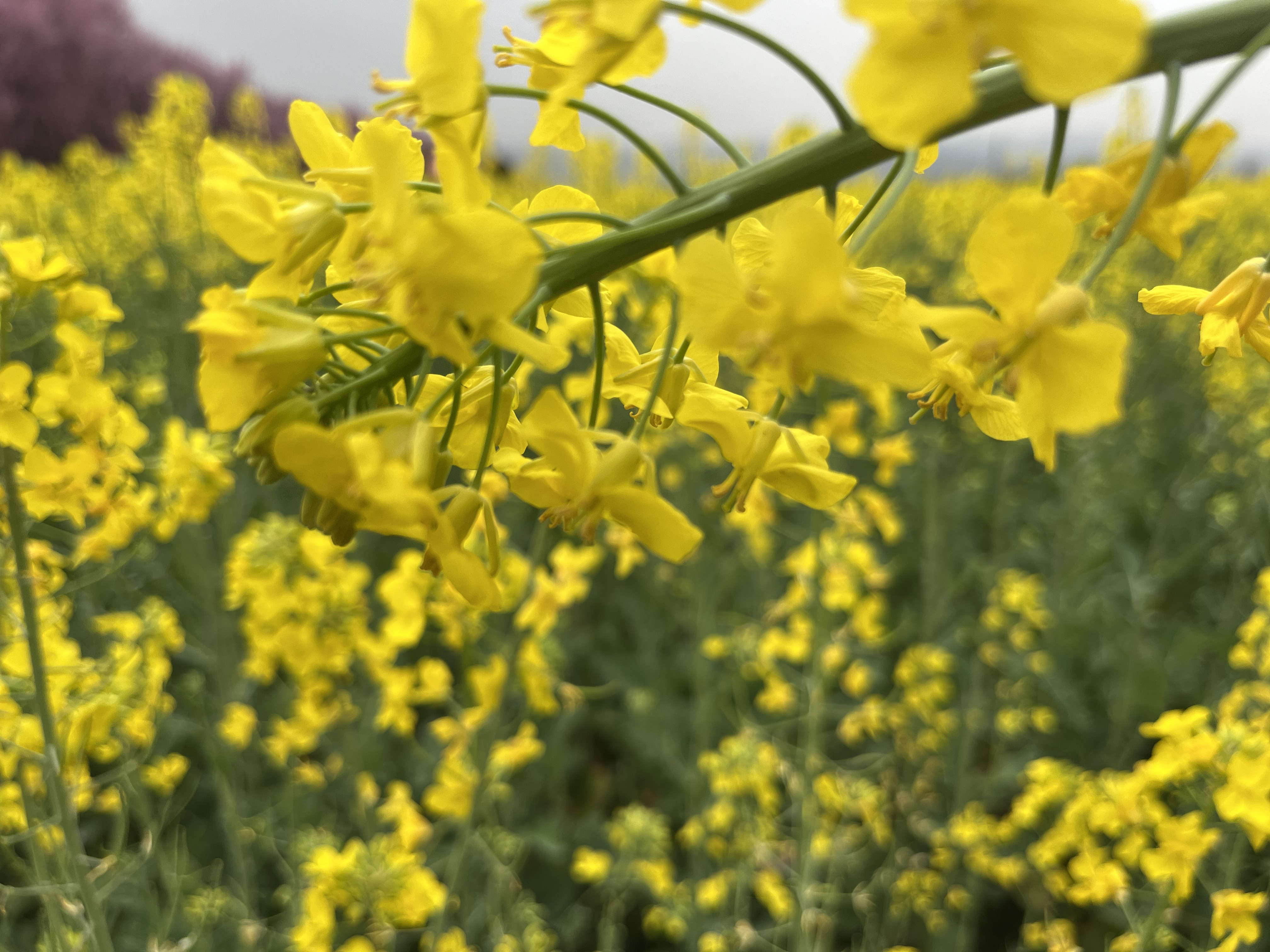 ��!�����