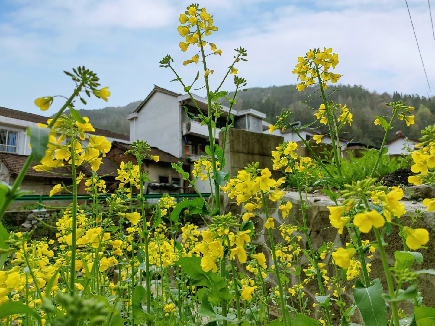 ����ϣ�����Ͳ˻�