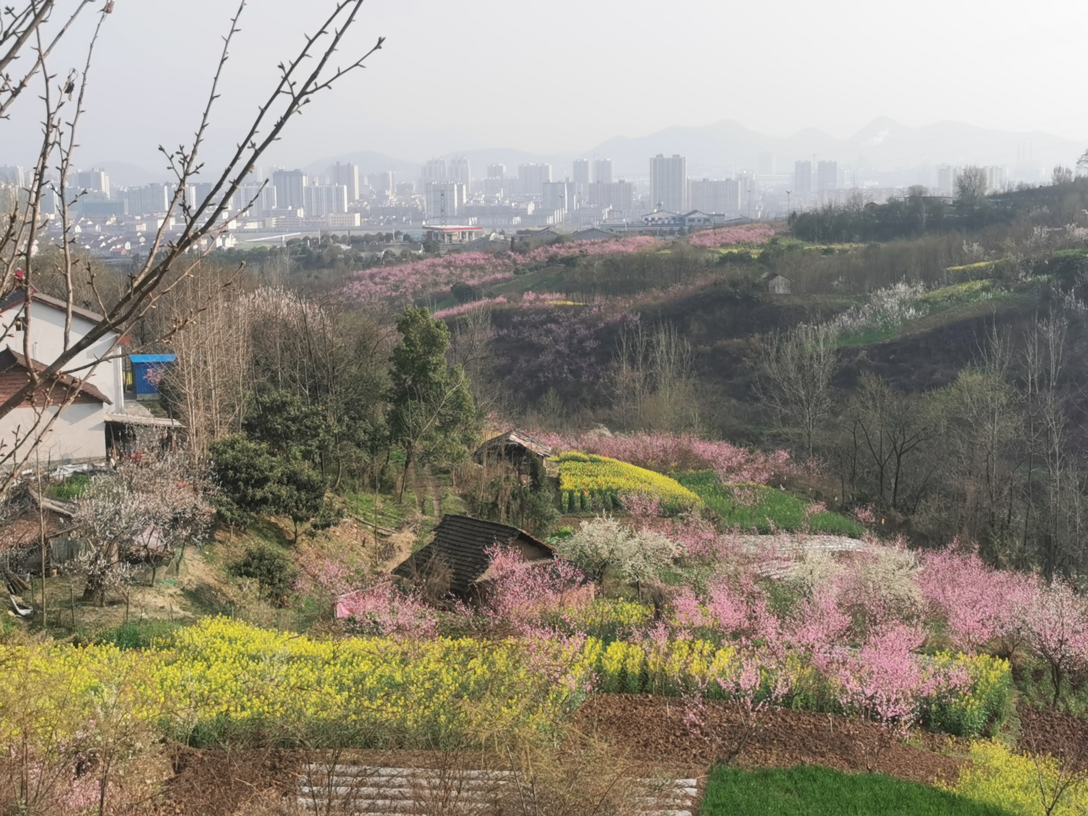 ��ʎ����˼�ļ�