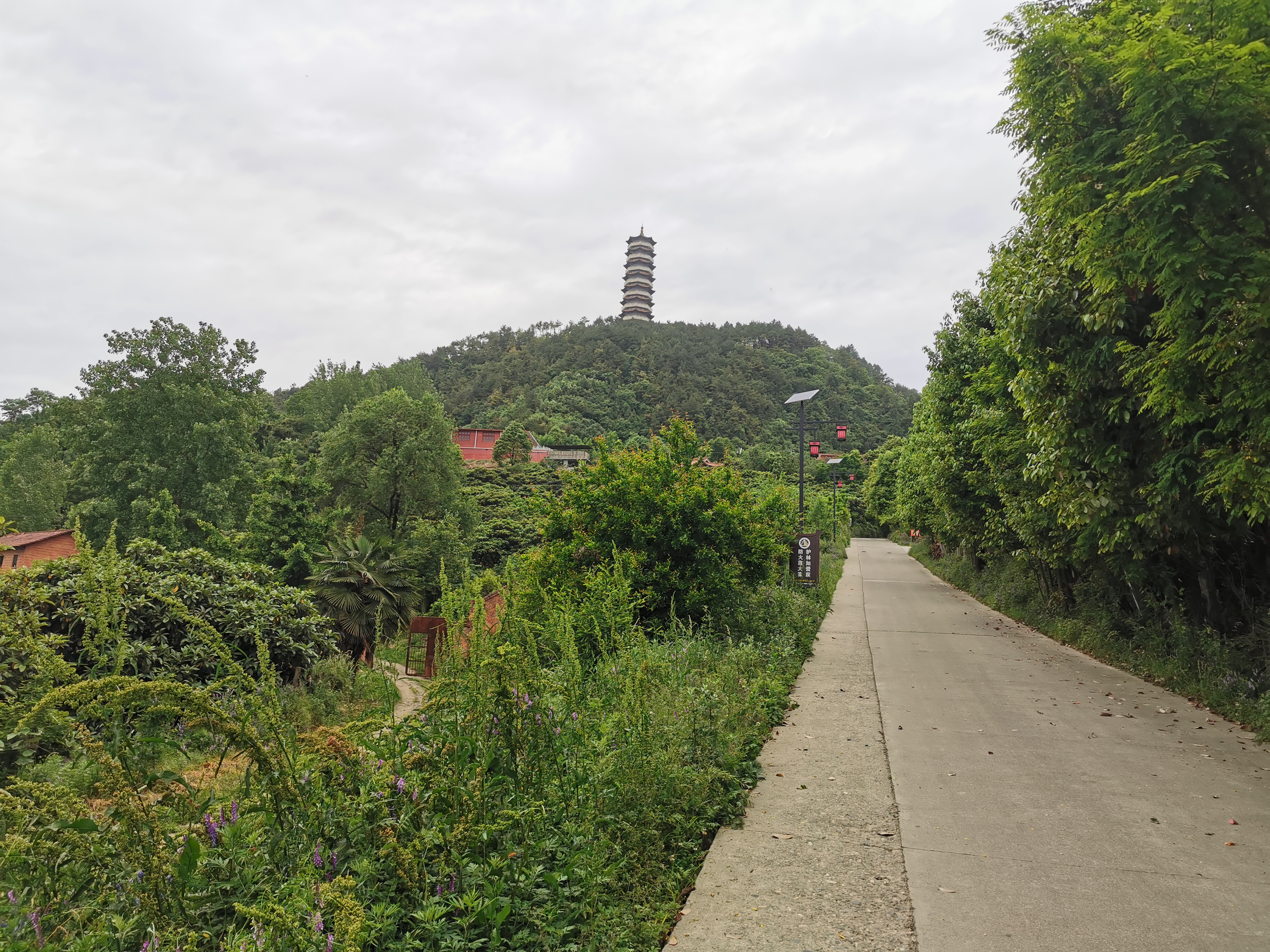 ��ʎ����˼�ļ�