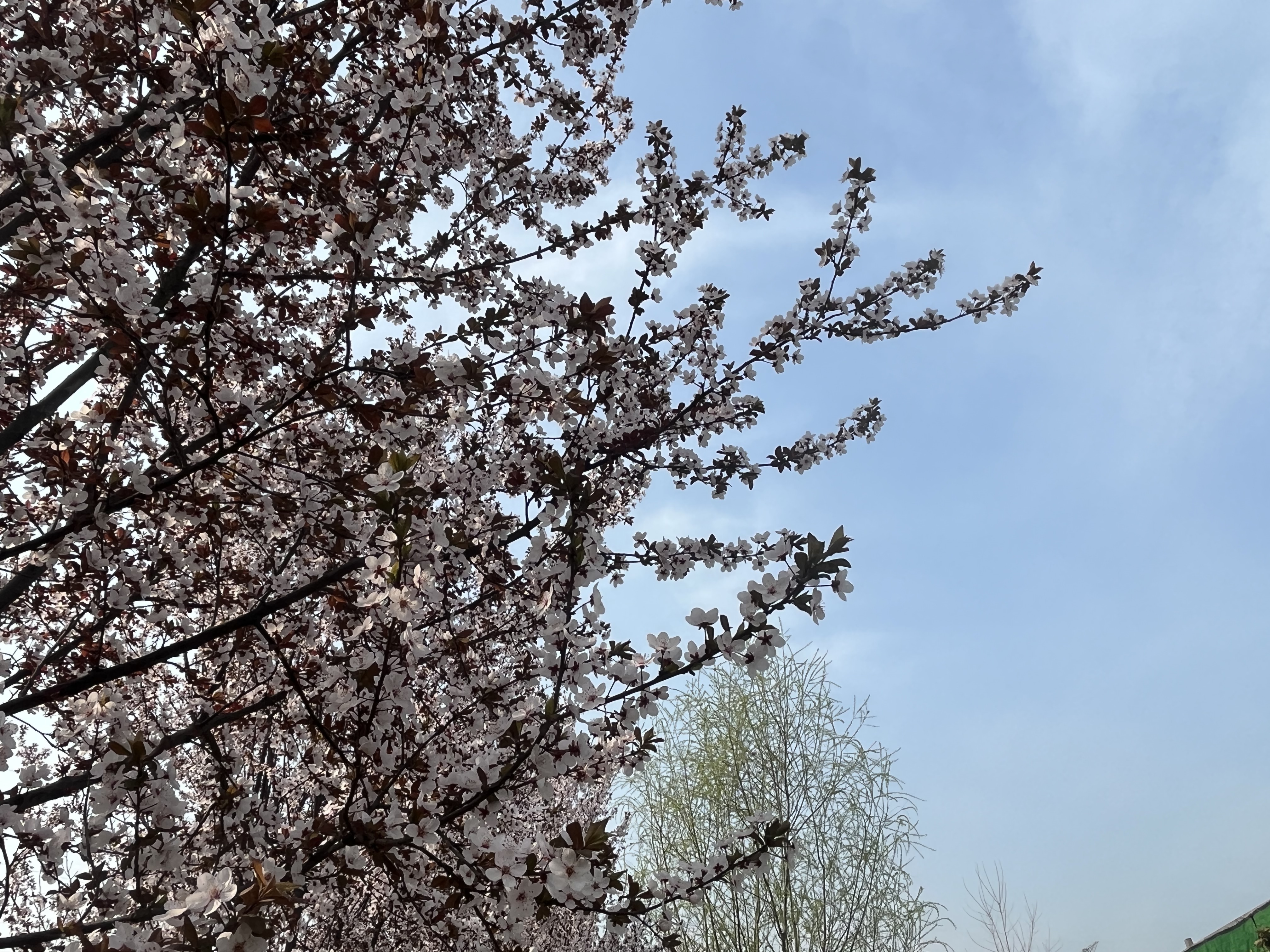 �Ǻ��f�����