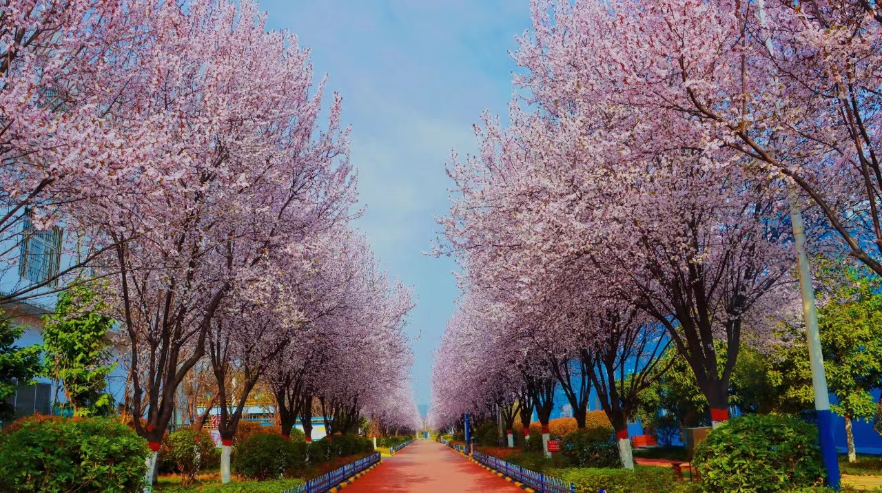 �������p̼���r(sh��)�� ���ܾGɫ�l(f��)չ����ِ����