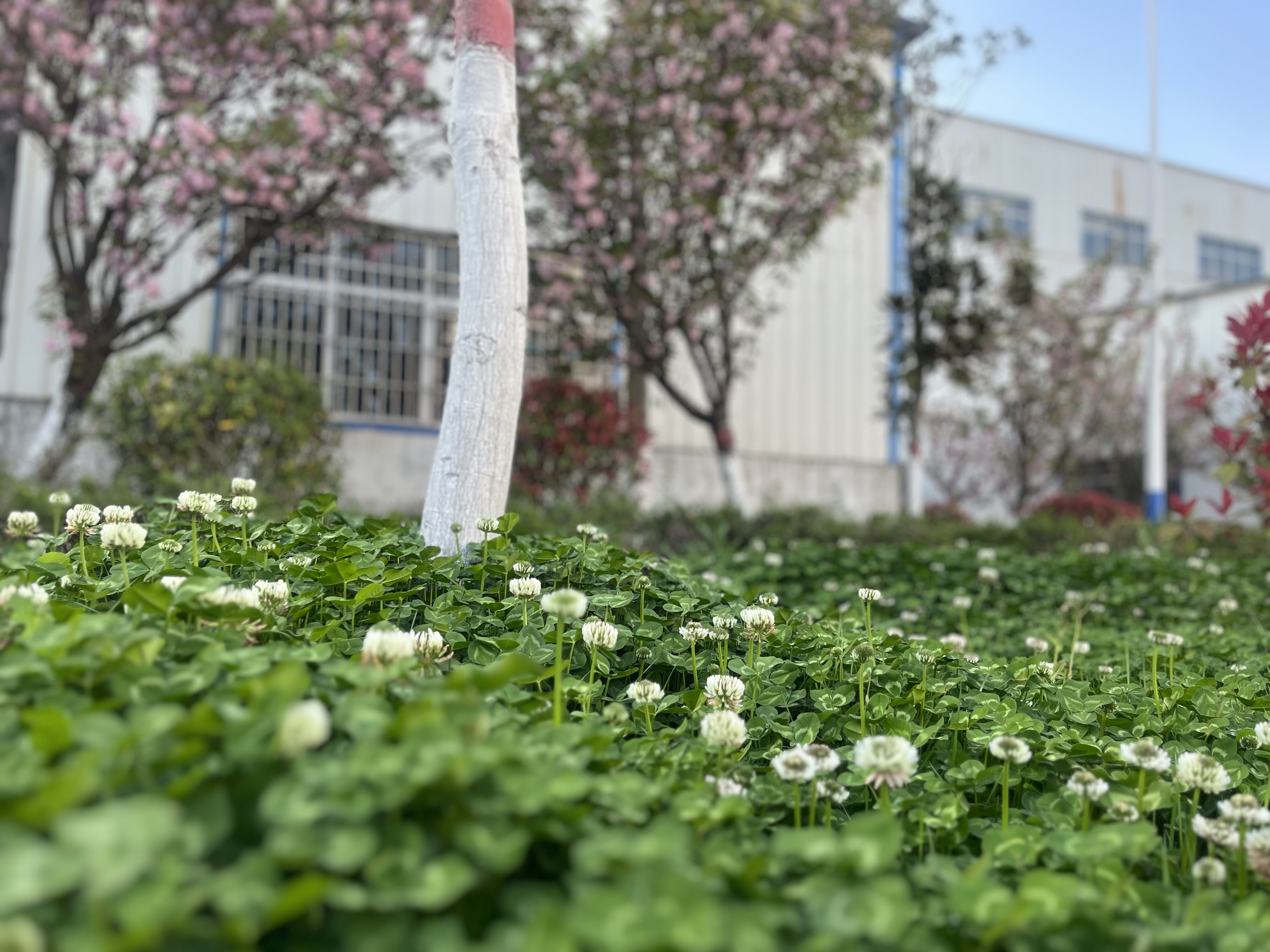 ����䓳ǁ���