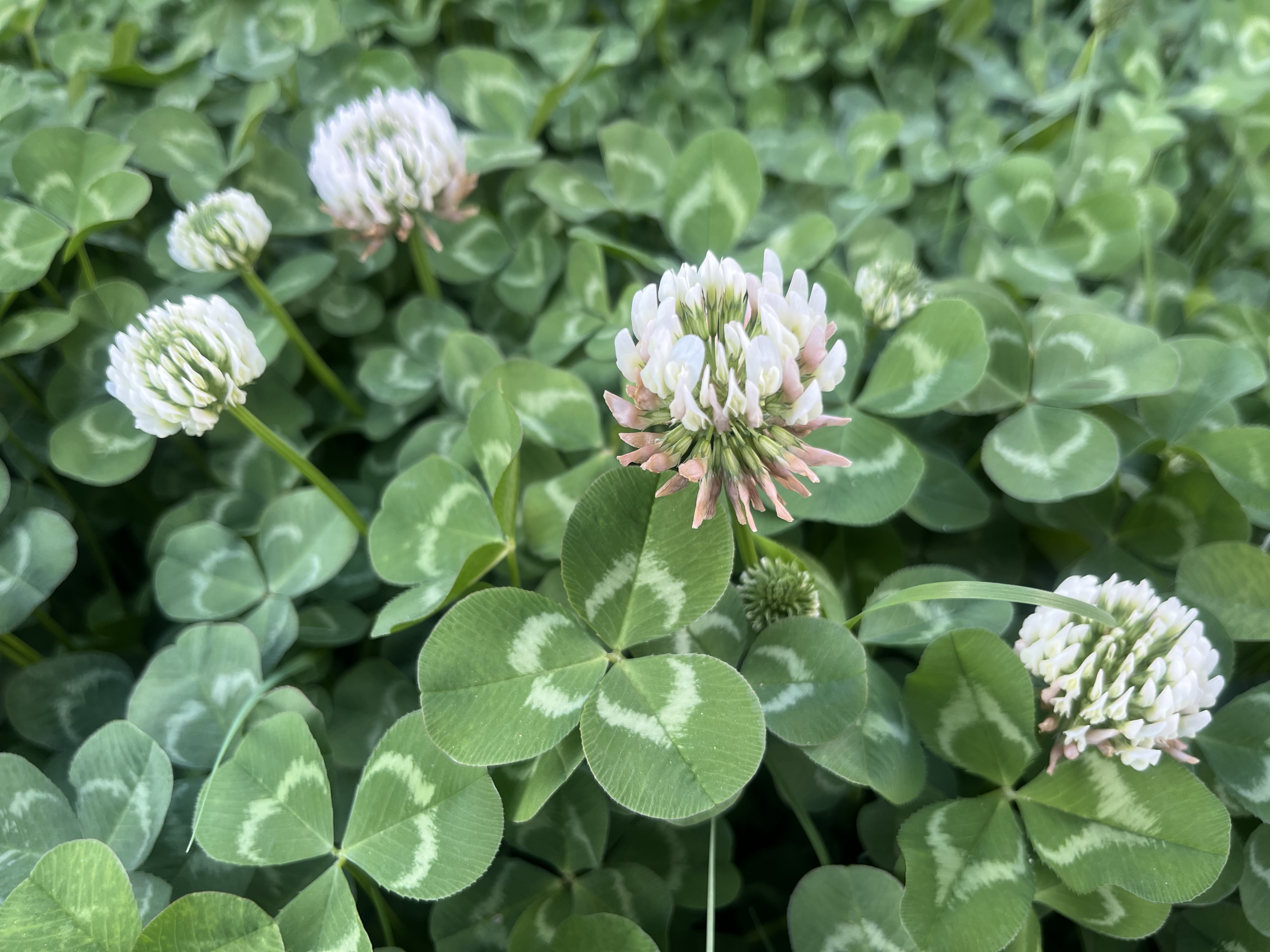 ����䓳ǁ���