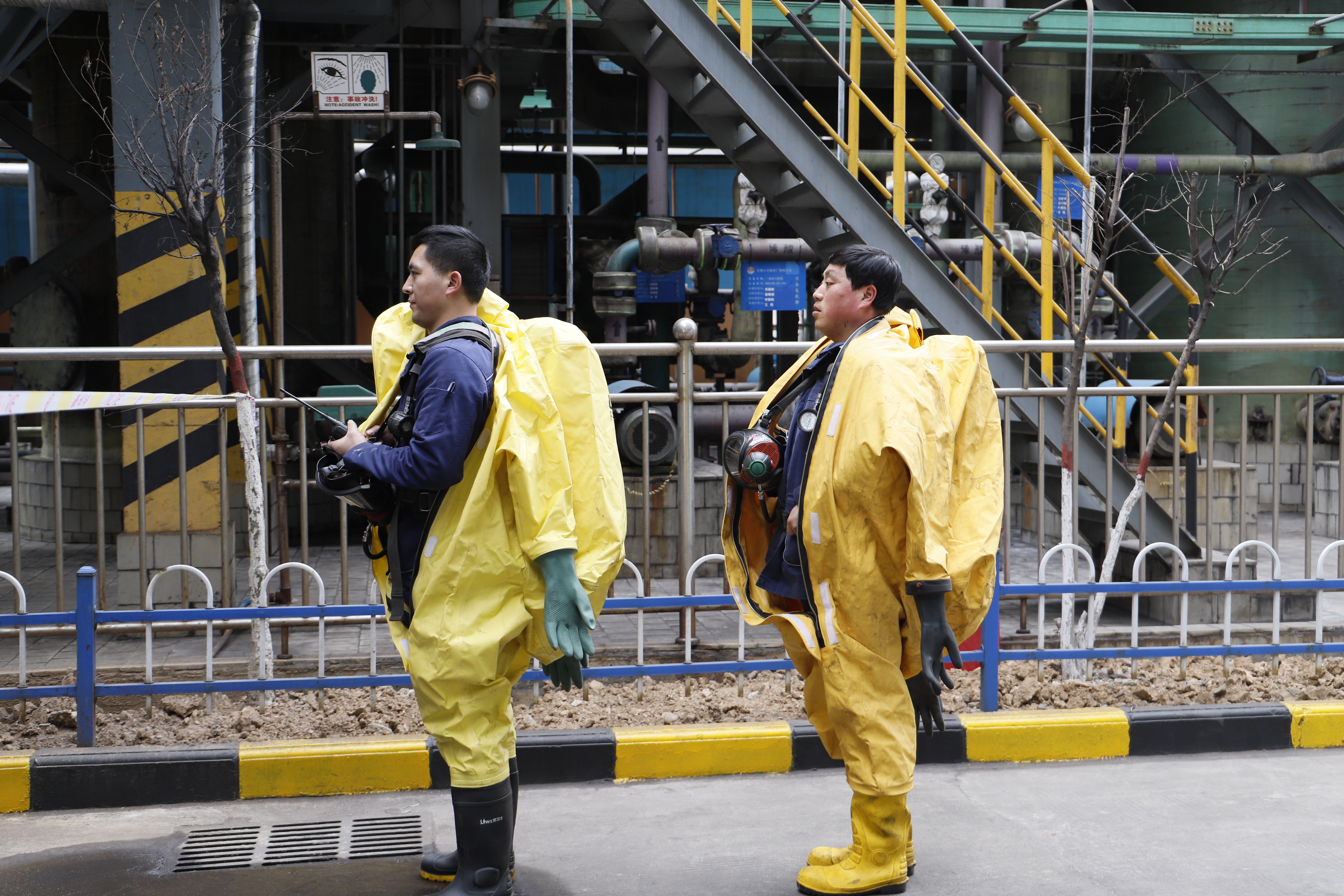 �o��Ŀ��(bi��o)���ɱ�  �������������